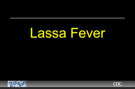 Fresh-Lassa-Fever-Outbreak-In-Bauchi-Infects-10,-Kills-3-on-HWN-LASSA-FEVER-UPDATE