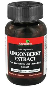 Lingonberry-extraction-improved-cognitive-skill-on-HWN-INSIGHTS