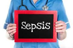 Potential-treatment-for-sepsis-and-other-responses-to-infection-discovered-on-HWN-INNOVATIONS