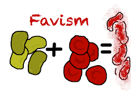 Favism-linked-with-severity-of-enzyme-deficiency-on-HWN-FAVISM-UPDATE