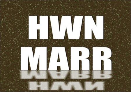 20-out-of-125-mass-marriages-contracted-had-already-collapsed-on-HWN-MARR