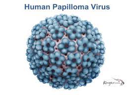 First-HPV-Test-For-Use-With-SurePath-Preservative-Fluid-Approved-on-HWN-HPV-UPDATE