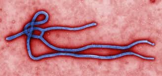 Two-new-Ebola-cases-hits-Guinea-on-HWN-EBOLA-UPDATE