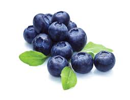 Blueberries-(Super-fruit)-could-aid-fight-against-Alzheimer's-on-HWN-RESEARCH