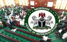 Doctors-planned-strike-will-be-stopped-by-Reps-on-HWN-SPOTLIGHT