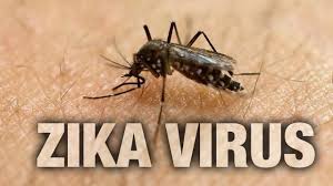 Pregnant-teen-shocked-to-learn-she-got-Zika-on-HWN-ZIKA-VIRUS-UPDATE