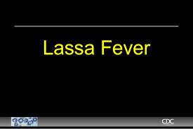 55-under-surveillance-in-Osun-state-on-HWN-LASSA-FEVER-UPDATE