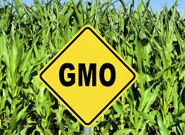 Obama-finally-signs-Genetically-Modified-Organism-(GMO)-bill-on-HWN-HIGHLIGHT