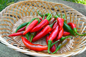 African-pepper-efficacy-on-prostate-cum-breast-on-HWN-CANCER-UPDATE