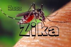 Zika-Virus-Hits-Bolivia,-Infects-Pregnant-Woman-on-HWN-ZIKA-VIRUS-UPDATE