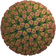 Analysing-Rotavirus-on-HWN-ROTAVIRUS-UPDATE