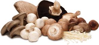 Anti-ageing-benefits-of-mushrooms-on-HWN-INSIGHTS