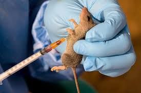 BSUTH-Isolates-Patient-on-HWN-LASSA-FEVER-UPDATE