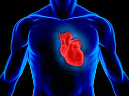 Heart-attacks-cum-its-early-warning-signs-being-missed-on-HWN-CARDIAC