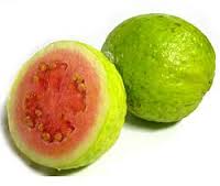 Guava-consumption-helps-lower-blood-sugar-levels-and-BP-on-HWN-INSIGHTS